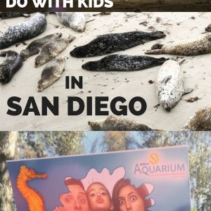 Fun things to do with kids in San Diego!