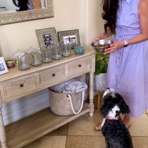 Healthy homemade dog food recipe