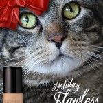 Tabs for Laura Mercier Holiday Flawless Face Foundation
