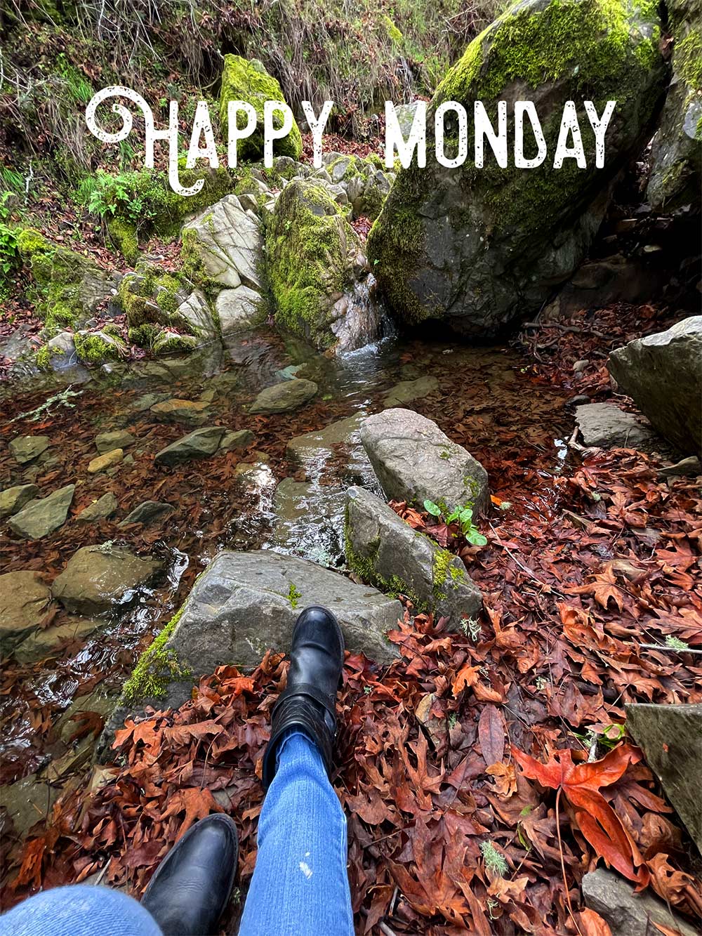 happy monday waterfall pond