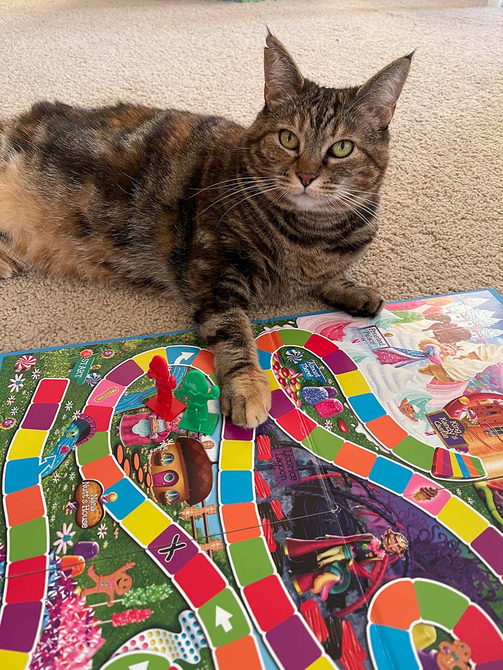 rosie pose candyland